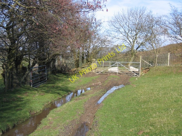 Photo 6"x4" Bridleway near Pen-bedw Bryneglwys\/SJ1447 c2007
