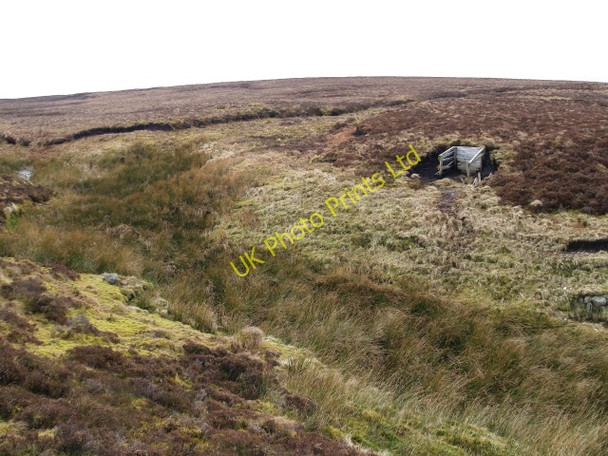 Photo 6"x4" Grouse butt, Rodie Cleuch Craigierig c2007