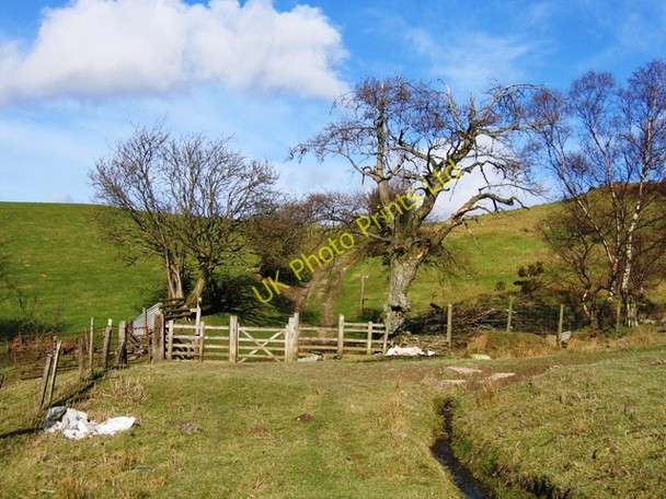 Photo 6"x4" On the Clwydian Way above Bryneglwys Bryneglwys\/SJ1447 c2007