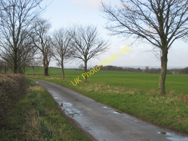 Photo 6"x4" Lane to Theakston Camp Hill\/SE3182 c2007