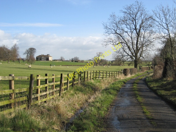 Photo 6"x4" View towards Rudd Hall Farm Hackforth c2007