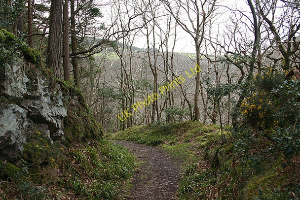Photo 6"x4" Porlock: nearing Culbone Worthy\/SS8548 c2007