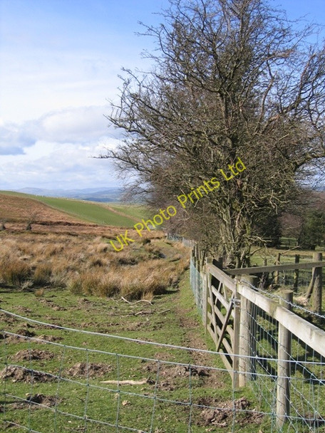 Photo 6"x4" Open Access Boundary near Bryneglwys. Bryneglwys\/SJ1447 c2007