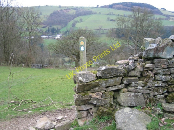 Photo 6"x4" Offas Dyke LDP Bronygarth c2007