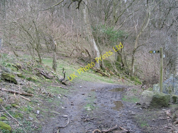 Photo 6"x4" Offas Dyke LDP near Crogen Wladys Bronygarth c2007