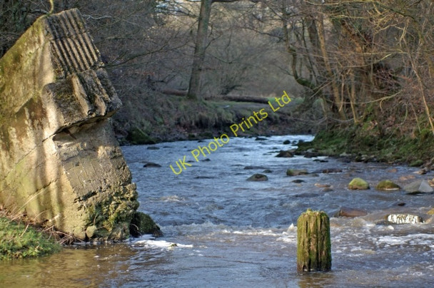 Photo 6"x4" River Brock Brook Bottom\/SD5442 c2007