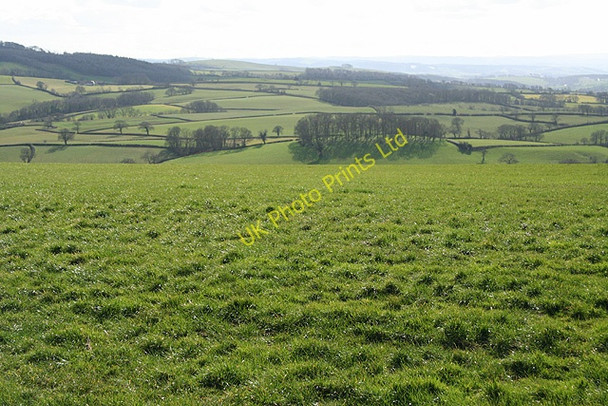 Photo 6"x4" Cheriton Fitzpaine: near Post Cross Upham\/SS8808 c2007