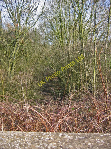 Photo 6"x4" Railway Cutting Fimber c2007