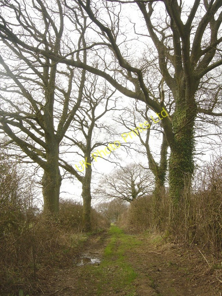 Photo 6"x4" Footpath near Hattingley Hattingley c2007