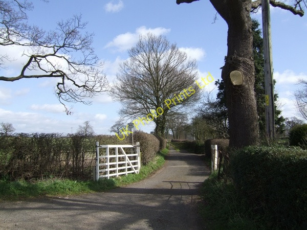Photo 6"x4" Private road leading to Wood House Renshaw Wood c2007