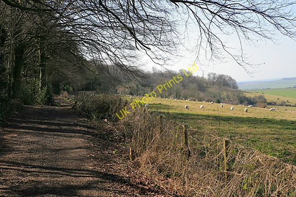 Photo 6"x4" Byway approaching Pepperbox Hill West Grimstead c2007
