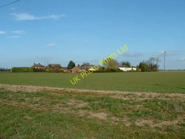 Photo 6"x4" Maze Farm, near Long Sutton Little Sutton\/TF4522 c2007