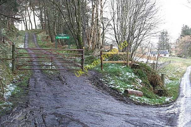 Photo 6"x4" Gate to Balloch Forest Davoch of Grange c2007