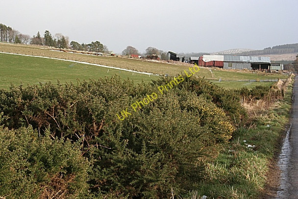 Photo 6"x4" Wester Riggins Cairnie\/NJ4844 c2007