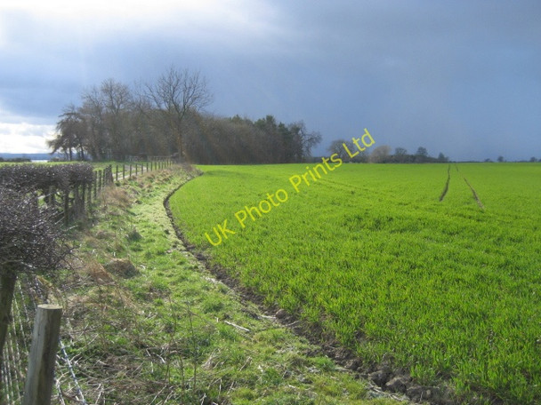 Photo 6"x4" Field and Wood Killerby c2007