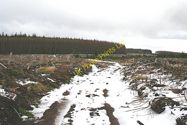 Photo 6"x4" Millstone Hill Auchinderran\/NJ4055 c2007 P4