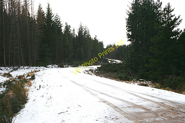 Photo 6"x4" Corsekell Moss Clochan c2007