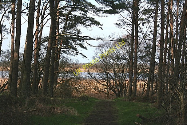 Photo 6"x4" Spynie Loch Windyridge\/NJ2367 c2007