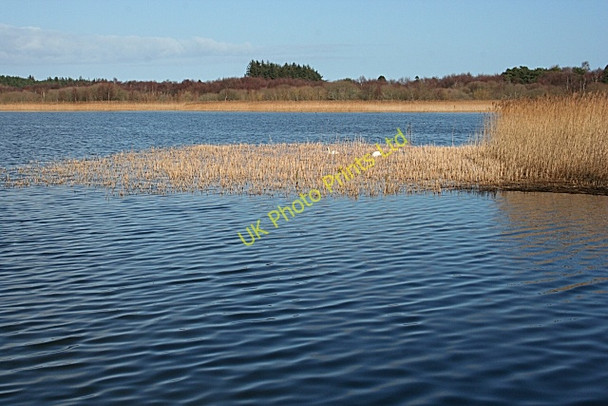 Photo 6"x4" Loch of Spynie Windyridge\/NJ2367 c2007