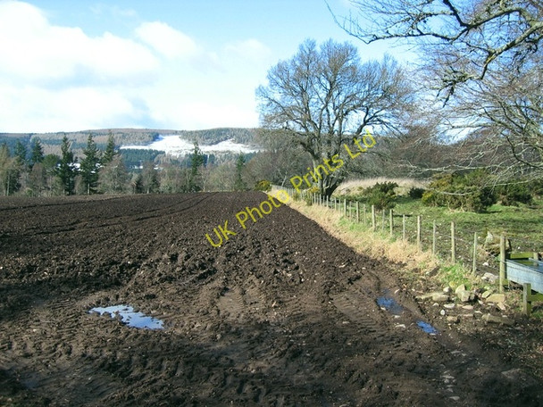 Photo 6"x4" Field at Cullaird Dochgarroch c2007