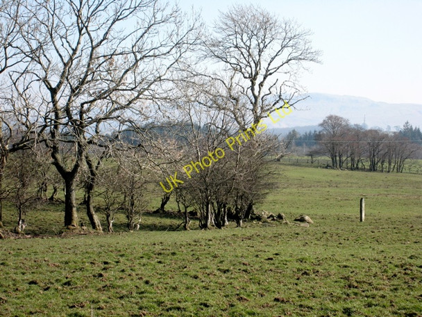 Photo 6"x4" Corner of Boundary Tullycross c2007