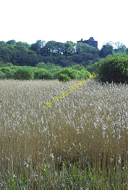 Photo 6"x4" Spynie Marshes Windyridge\/NJ2367 c1984