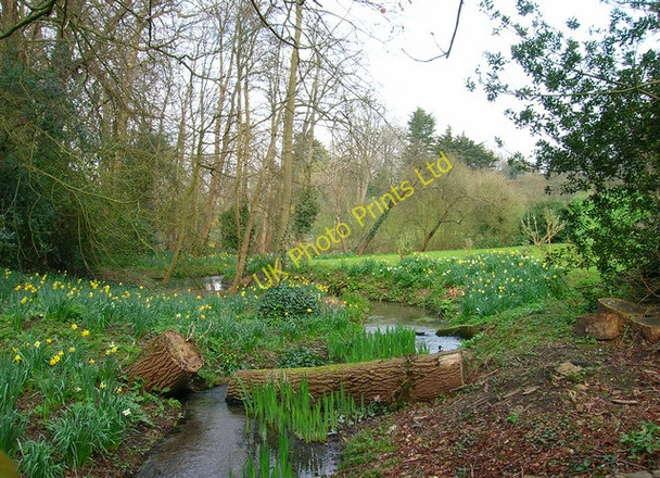 Photo 6"x4" Poynings Stream Poynings c2007