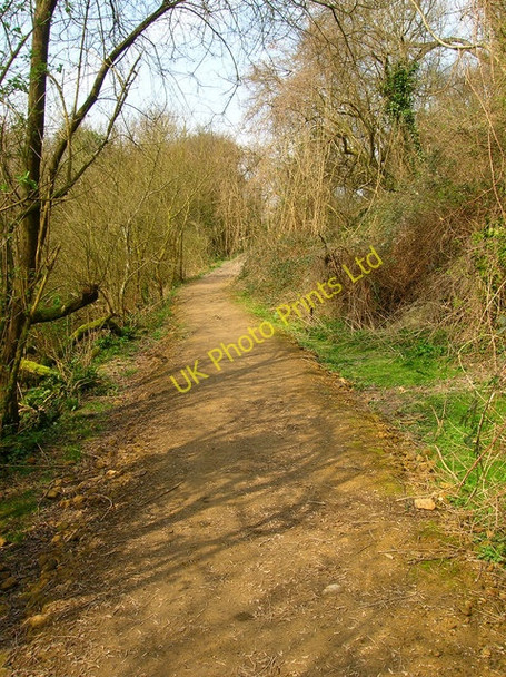Photo 6"x4" Bridleway to Poynings Poynings c2007