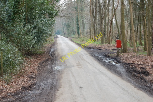 Photo 6"x4" A post box in the middle of a wood Checkendon c2007