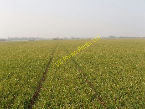 Photo 6"x4" Wheat field north of Weston on the Green Weston-on-the-Green c2007