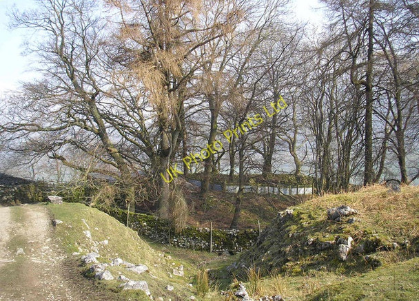 Photo 6"x4" Gill above Redmire Buckden\/SD9477 c2007