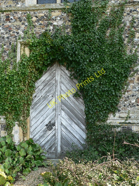 Photo 6"x4" Three years of Ivy Rendlesham c2007