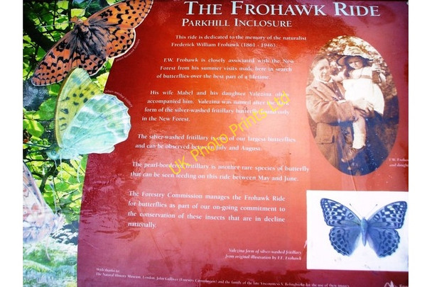 Photo 6"x4" Frohawk Ride, Parkhill Inclosure Information Board. Balmerlawn c2007