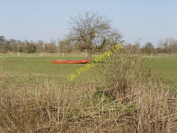 Photo 6"x4" Canadian canoes in a field, Oddington Oddington c2007
