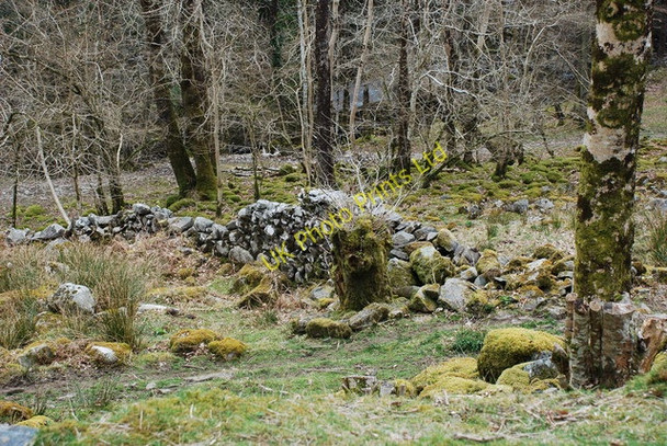 Photo 6"x4" Afon Eden Ganllwyd\/SH7224 c2007
