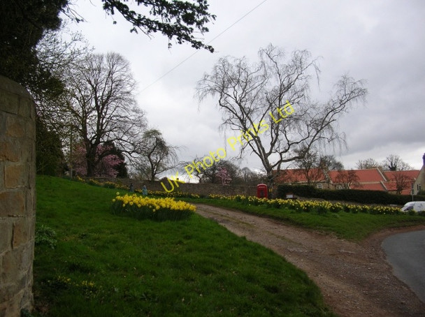 Photo 6"x4" Farnham village green Farnham\/SE3460 c2007