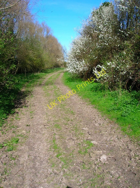 Photo 6"x4" The Shireway Potman's Heath c2007