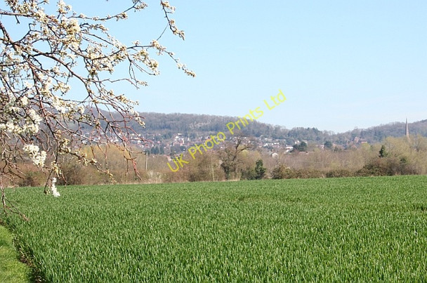 Photo 6"x4" Field  south-West of Ledbury Ledbury c2007