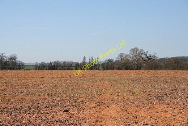Photo 6"x4" Footpath over a Sprayed Field Ledbury c2007