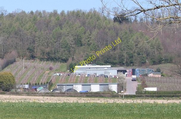 Photo 6"x4" Fruit Packing Buildings near Flights Farm Ledbury c2007