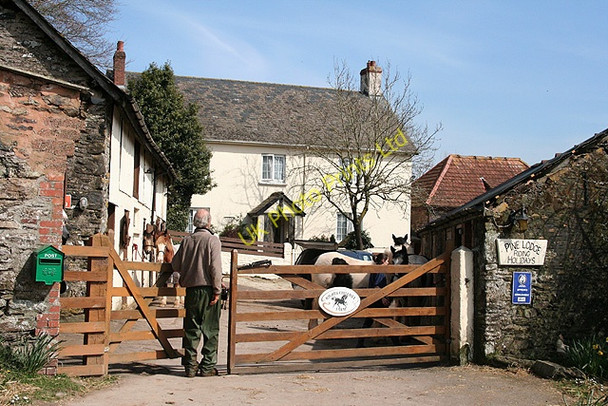 Photo 6"x4" Dulverton: Higher Chilcott Farm Waddicombe c2007