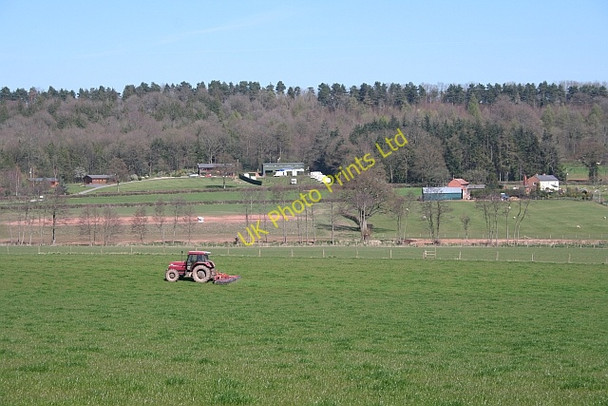 Photo 6"x4" Field near Tyrrel's Frith Farm Little Marcle c2007