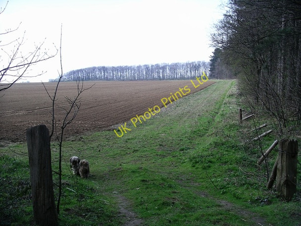 Photo 6"x4" Edge of West Wood Broughton\/SE9608 c2007