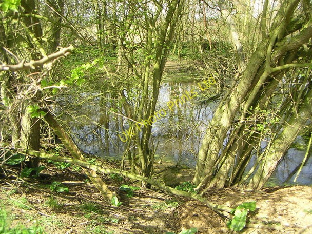Photo 6"x4" Small Pond Thornton\/SP7535 c2007