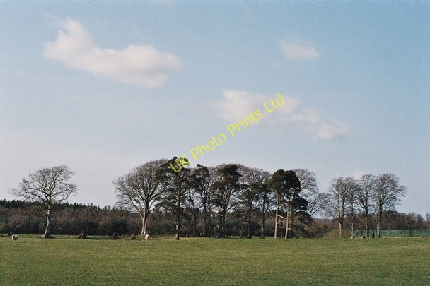 Photo 6"x4" Toward Sorrysike Moor Murraythwaite c2007