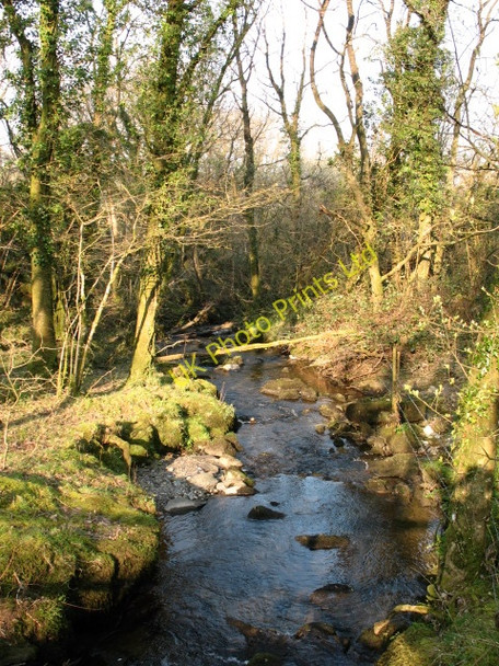 Photo 6"x4" Stream near Gellifawr Pentrisil c2007