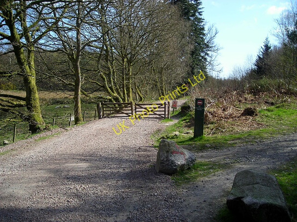 Photo 6"x4" End of Cycle Trails in Dalbeattie Forest Dalbeattie c2007