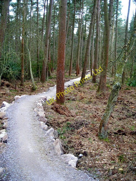 Photo 6"x4" Cycle Trail in Dalbeattie Forest Dalbeattie c2007