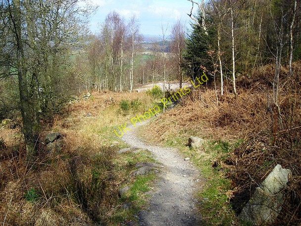 Photo 6"x4" Cycle Trail in Dalbeattie Forest Palnackie c2007
