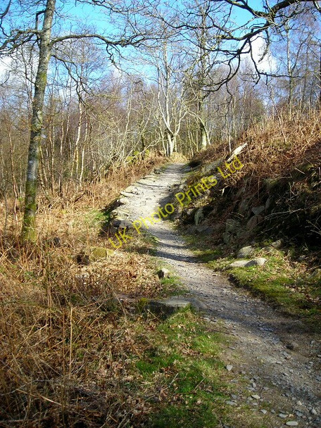 Photo 6"x4" Cycle Trail in Dalbeattie Forest Palnackie c2007 P1